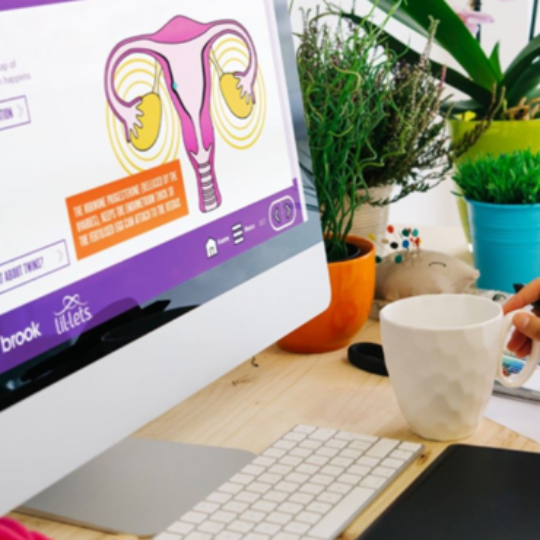 PSHE Programme for schools in Cornwall