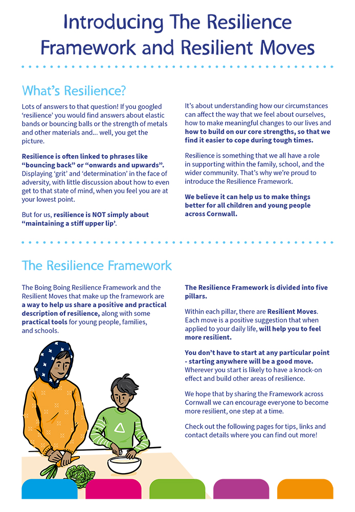 Resilience frameworks