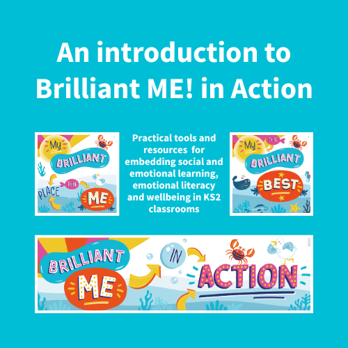 Brilliant ME in Action - an introduction Brilliant ME in Action - an introduction
